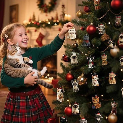 Cat Advent Calendar – 24 Surprises for Christmas